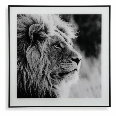 Cadre Versa Lion Verre 2 x 50 x 50 cm