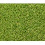 Astro-turf Exelgreen Campus 2D 1 x 5 m 25 mm