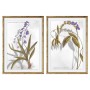 Cadre DKD Home Decor 50 x 2 x 70 cm Moderne Plantes botaniques (2 Unités)