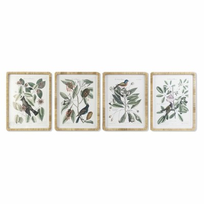 Cadre DKD Home Decor 50 x 2,5 x 65 cm Shabby Chic Plantes botaniques (4 Pièces)