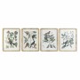 Cadre DKD Home Decor 50 x 2,5 x 65 cm Shabby Chic Plantes botaniques (4 Pièces)