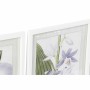 Painting DKD Home Decor 40 x 2 x 54 cm Flowers Shabby Chic (6 Pieces)