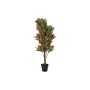 Plante décorative DKD Home Decor Marron Polyéthylène Vert 50 x 50 x 140 cm