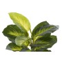 Decorative Plant DKD Home Decor PVC polypropylene 25 x 25 x 30 cm