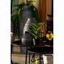 Decorative Plant DKD Home Decor PVC polypropylene 25 x 25 x 30 cm