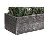 Decorative Plant DKD Home Decor Wood Polyethylene 32 x 14 x 19,5 cm (2 Units)