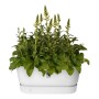 Plant pot Elho Terrase 80 Wheels 35 x 78 x 34 cm White