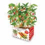 Cultivation Set Batlle Peppers Spicy 30 x 19,5 x 16,2 cm