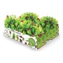 Set de culture Batlle Baby Leaves Salades 40 x 29 x 10,5 cm 2,6 Kg
