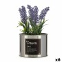 Decorative Plant Plastic Lavendar Can 6 Units