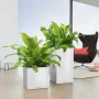 Self-watering flowerpot Lechuza White 40 x 40 x 76 cm