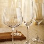 verre de vin Bohemia Crystal Optic Transparent 6 Unités 500 ml