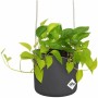 Jardinière suspendue Elho   Noir Anthracite Plastique Ø 18 cm