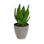 Decorative Plant Aloe Vera 14 x 21 x 14 cm Grey Green Plastic (6 Units)