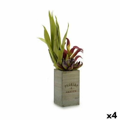 Plante décorative Flowers Garden Marron Vert 10 x 50 x 10 cm (4 Unités)