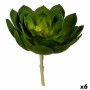 Decorative Plant 22 x 19 x 19 cm Green Plastic (6 Units)