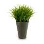 Decorative Plant Plastic 11 x 18 x 11 cm Green Grey (12 Units)