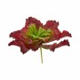 Plante décorative Volets Grand Bicolore Plastique 31 x 24 x 31 cm (6 Unités)