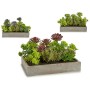 Plante décorative Succulent Plastique Ciment 16,5 x 20 x 28,5 cm (6 Unités)