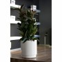 Plant pot Plastiken White Plastic Squared Ø 38 cm