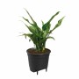 Plant pot Elho Black polypropylene Circular Modern Ø 21 cm 21 cm