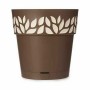 Self-watering flowerpot Stefanplast Cloe Brown Plastic 29 x 29 x 29 cm (6 Units)