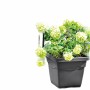 Plant pot Deroma Squared Anthracite Injected Ø 38 cm