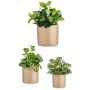 Set de pots 3 Pièces Ø 14 cm Ø 22 cm Ø 17 cm Cylindre Beige