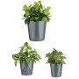 Set de pots Ø 14 cm Ø 22 cm Ø 17 cm Cónica 3 Pièces Anthracite