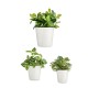 Set de pots Ø 14 cm Ø 22 cm Ø 17 cm Cónica 3 Pièces Blanc