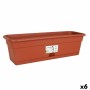 Planter with Dish Dem Greentime Rectangular Brown 40 x 20 x 17,3 cm (6 Units)