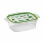 Lunch box Snips Hermetically sealed 1,8 L Rectangular (12 Units)