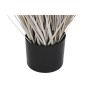 Plante décorative DKD Home Decor Gris clair (Reconditionné B)