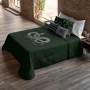 Couette légère Harry Potter Slytherin Multicouleur 190 x 4 x 270 cm Lit 1 persone