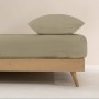 Fitted bottom sheet Decolores Liso Brown Double