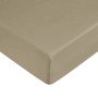 Fitted bottom sheet Decolores Liso Brown Double