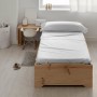 Fitted bottom sheet Decolores Liso White Double