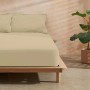 Fitted bottom sheet Decolores Liso Taupe Single Smooth