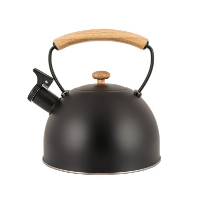 Teapot Promis TMC-15B 2,5 L