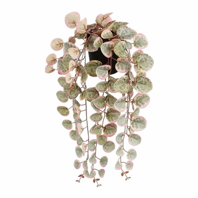 Plante décorative Mica Decorations Ceropegia Woodii 10 x 46 x 12 cm Artificielle A accrocher