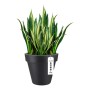 Pot Elho 8403604042500 Anthracite Ø 40 cm