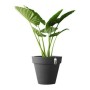 Pot Elho 8403604042500 Anthracite Ø 40 cm