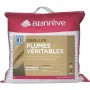 Oreiller Blanreve ORPPLHP006060 Blanc 60 x 60 cm