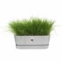 Jardinière Elho   Gris 50 cm Plastique