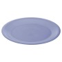 Assiette plate Bleu Rouge Vert Plastique (Reconditionné B)