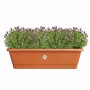 Plant pot Elho Brown 65 x 20 x 18 cm Plastic Squared