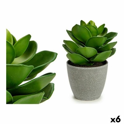 Plante décorative Gris Vert (16 x 21 x 16 cm) (6 Unités)