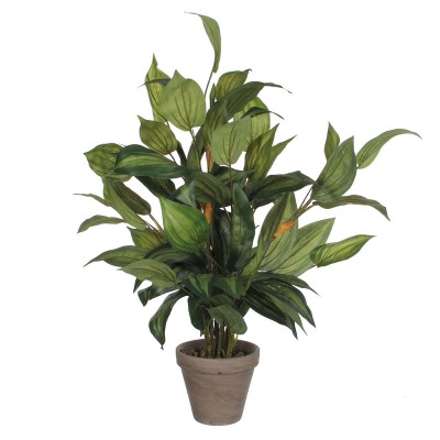 Decorative Plant Mica Decorations Hosta Green PVC (15,5 x 65 cm)