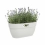 Pot Elho 3662603645100 Blanc Plastique Rectangulaire Moderne 24 x 36 x 26,5 cm