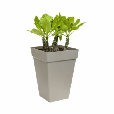 Pot Elho Ø 29,5 cm Blanc polypropylène Plastique Carré Moderne